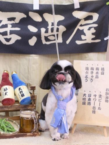 20240627たいがくん